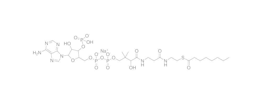 Octanoyl Coenzyme A, Sodium salt