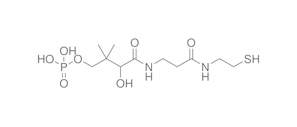 4-Phosphopantetheine, free acid