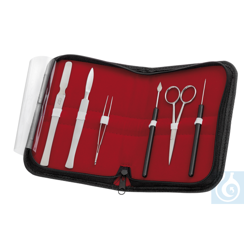 Microscopy set in leather, 6 pcs. - Luminix Health