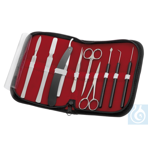 Microscopy set in leather, 9 pcs. - Luminix Health