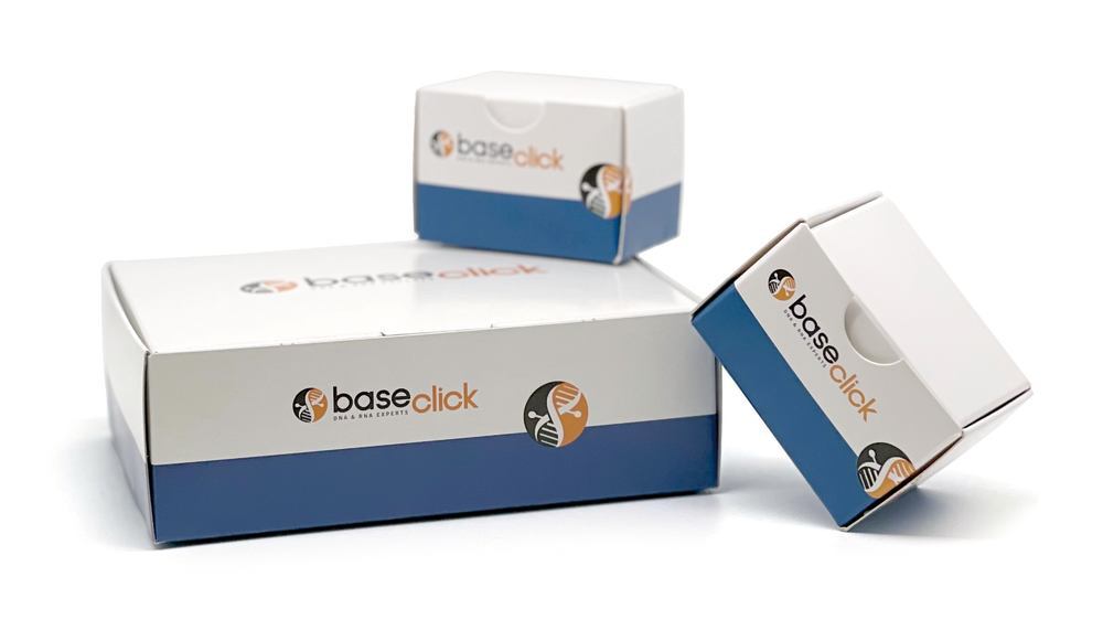 X-ClickSeq Library Prep Kit with dual indexing