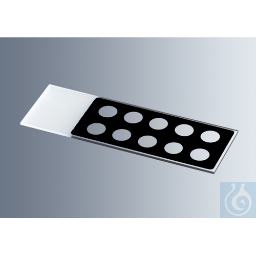 Microscope slides with reaction wells