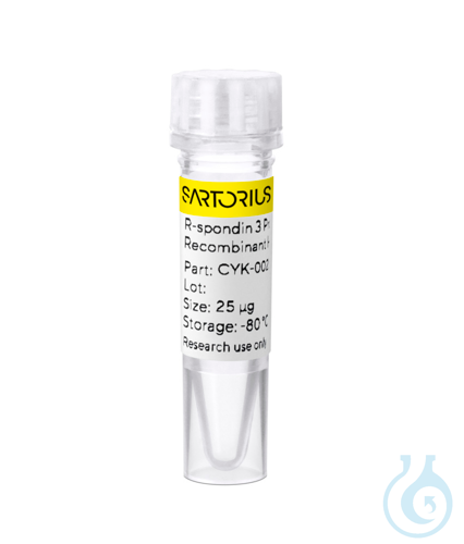 Recomb human R-spondin 3 protein 0.025mg
