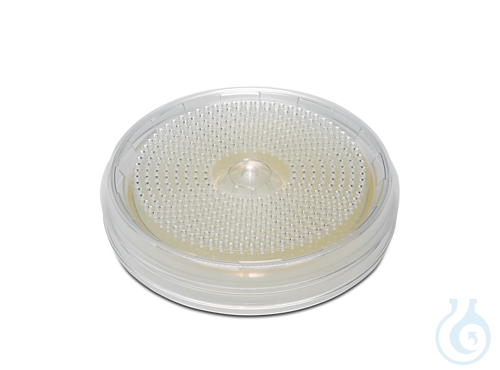 Nitrocellulose met raster, 0,8 µ, 80 mm, 100P, Nitrocellulose met raster, 0,8 µ, 80 mm, 100P