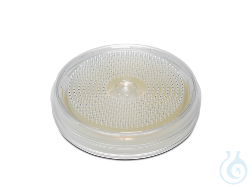 Culture medium plate, Sabouraud, sterile, BACTair™ Culture Media Plates - Luminix Health