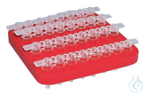 Floating Cryo Racks for 4 PCR Strips of 8 Tubes