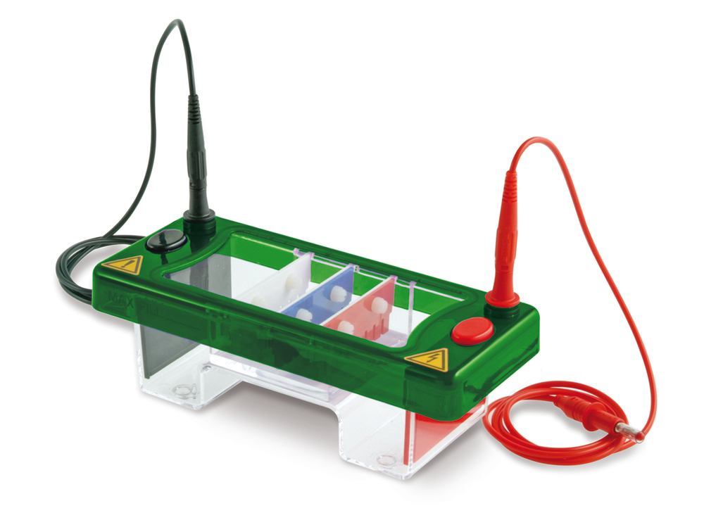 ROTIPHORESE® Unit PROfessional I, complete set, gel size 7 x 7 cm, 1 unit(s) - Luminix Health