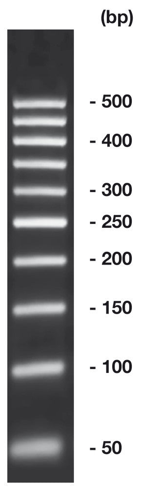 50 bp-DNA-Ladder,, ready-to-use, not pre-dyed, 500 µl, plastic - Luminix Health