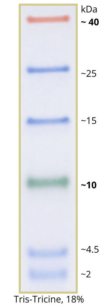 ROTI-Mark TRICOLOR XS, ready-to-use, prestained, 250 µl