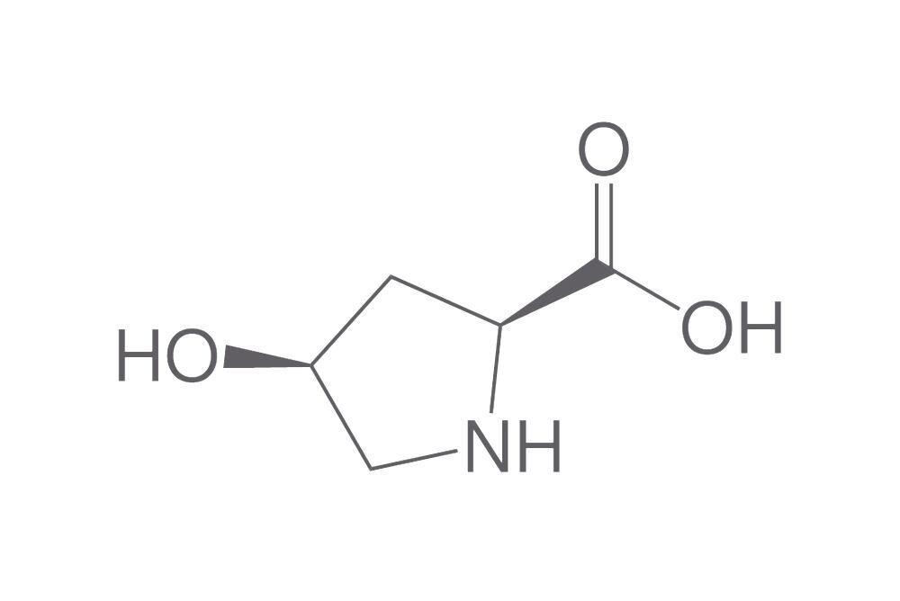 cis-4-Hydroxy-L-proline, 10 g, Carl Roth, art. 2NC5.4