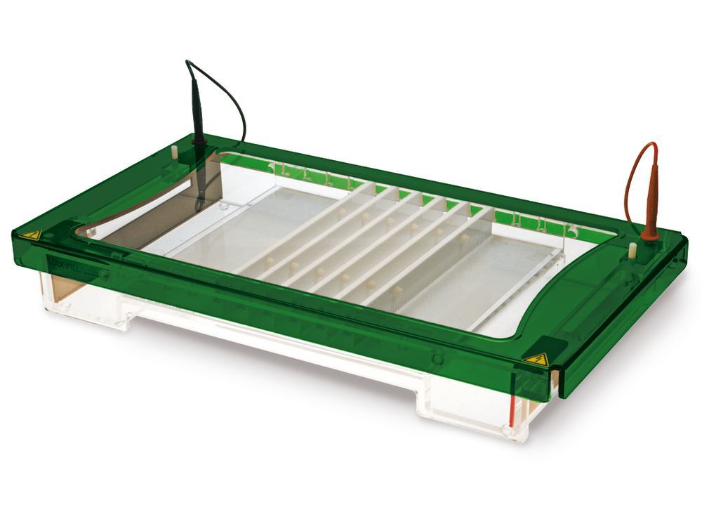 ROTIPHORESE® Unit PROfessional V, complete set, gel size 26 x 32 cm, 1 unit(s) - Luminix Health