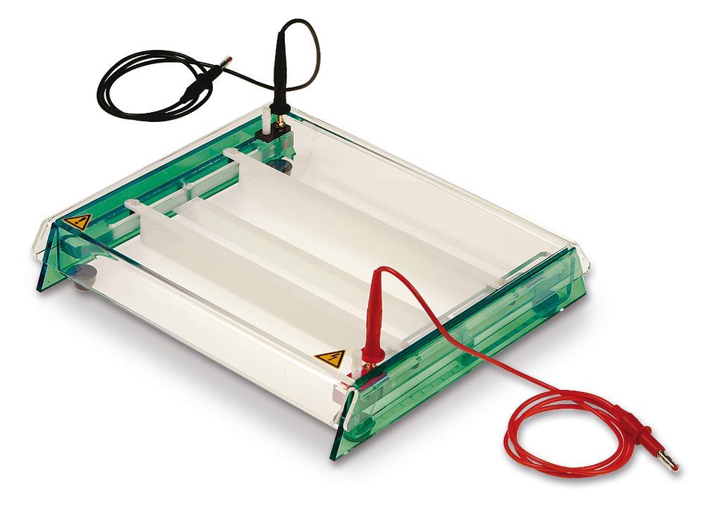 ROTIPHORESE® Unit PROfessional, Acetate, size of unit W 30 x L 30 cm, 1 unit(s) - Luminix Health