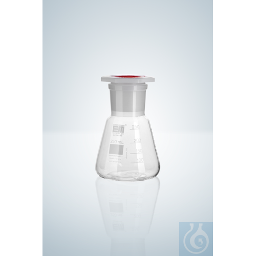 ERLENMEYER FLASK 100 ML, WIDE NECK WITH NS 29/32