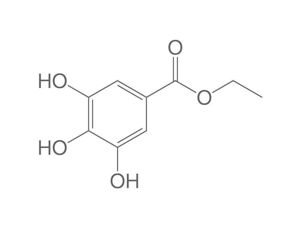 Gallic acid ethyl ester, min. 98 %, 25 g, plastic - Luminix Health