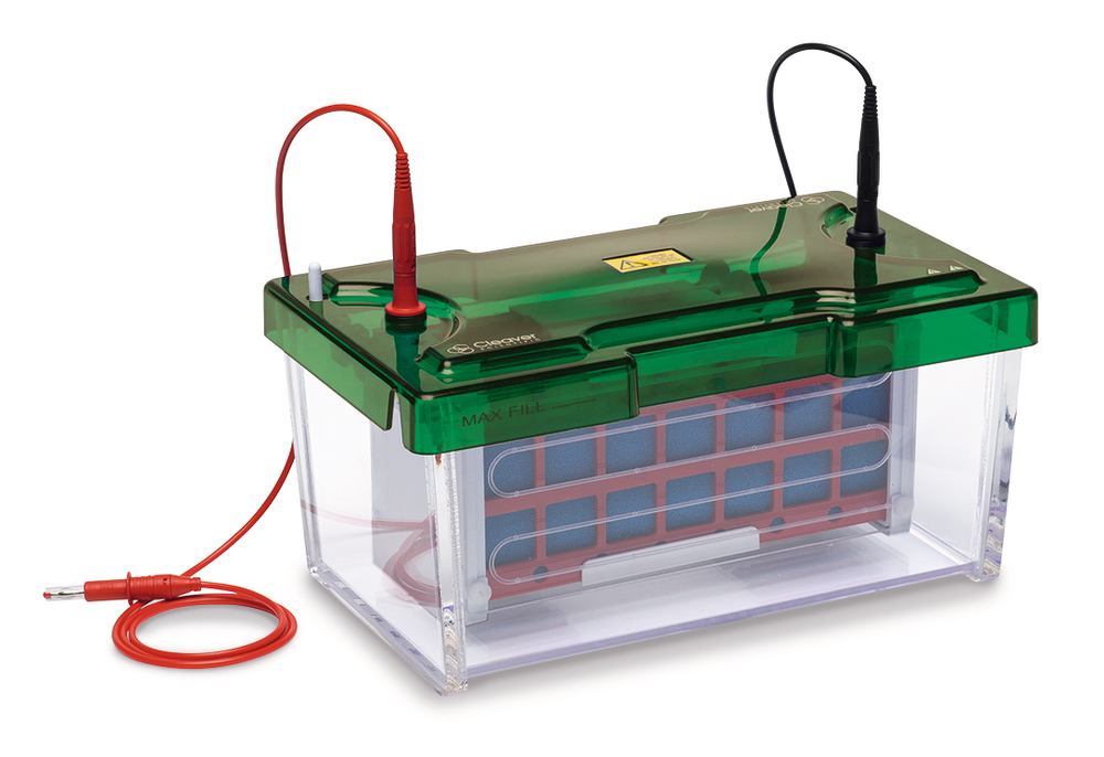 ROTIPHORESE® PROclamp MINI Wide, Tank Blotting System,, 1 unit(s) - Luminix Health