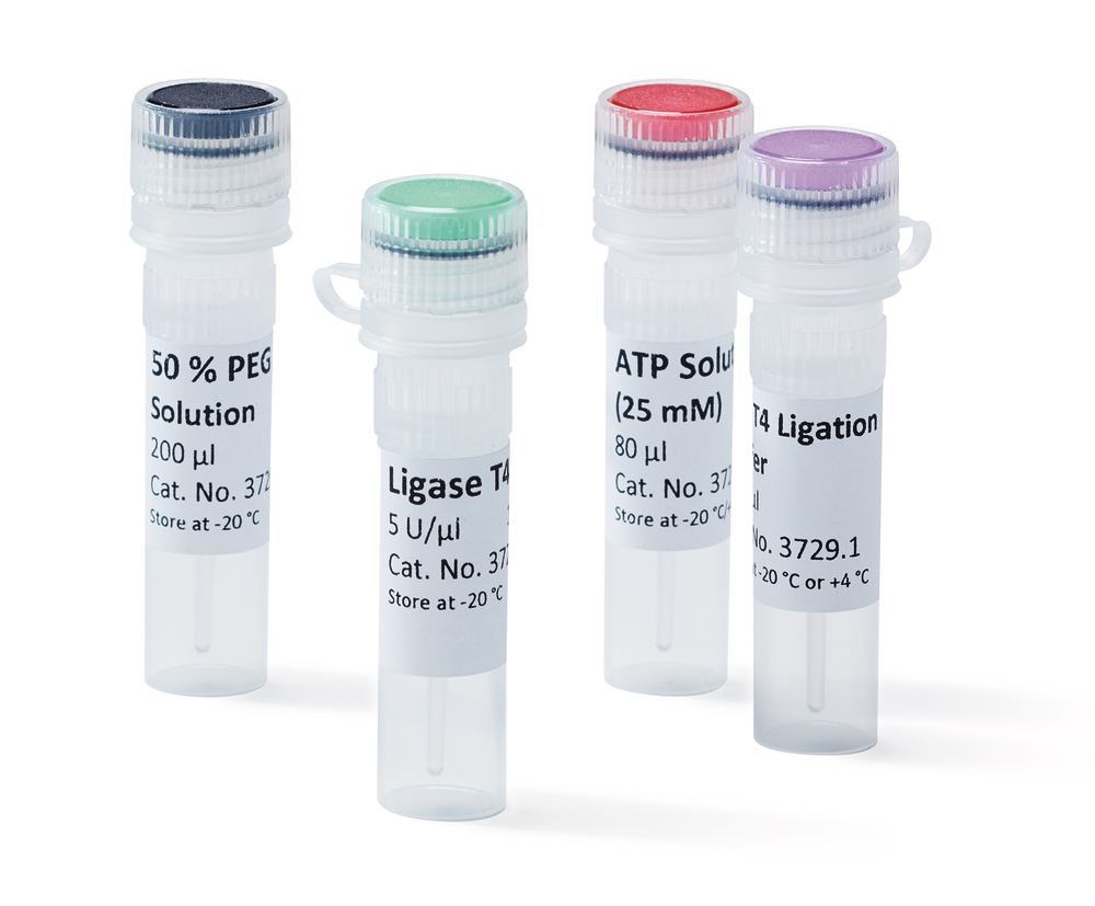 Ligase T4, 5 U/µl, for Molecular Biology, 100 µl, plastic - Luminix Health