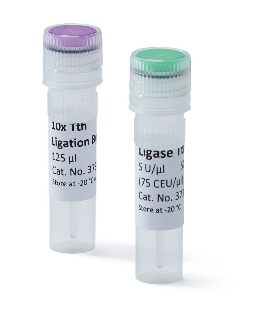 Ligase Tth, 5 U/µl, for Molecular Biology, 50 µl, plastic - Luminix Health