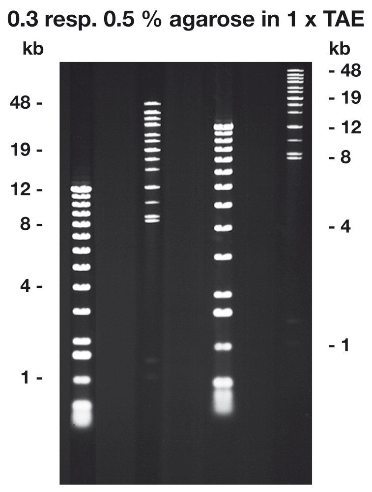 Agarose Pulsed-Field, ROTI®Garose, Genetic engineering quality, 10 g, plastic - Luminix Health