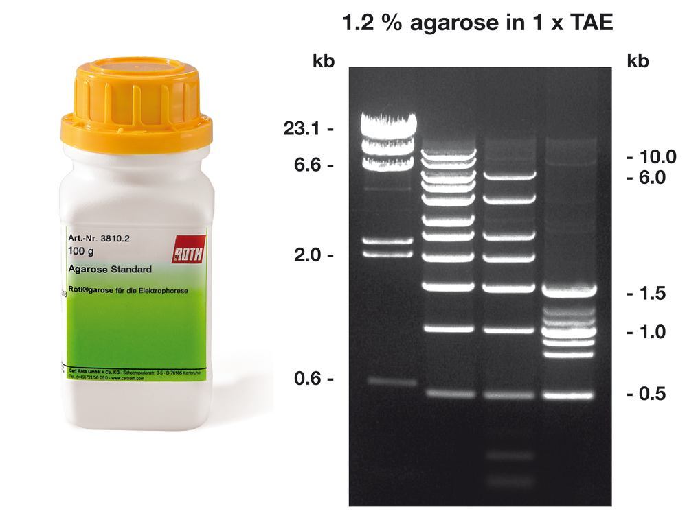 Agarose Standard ROTI®Garose, for DNA/RNA-electrophoresis, 10 g, plastic - Luminix Health