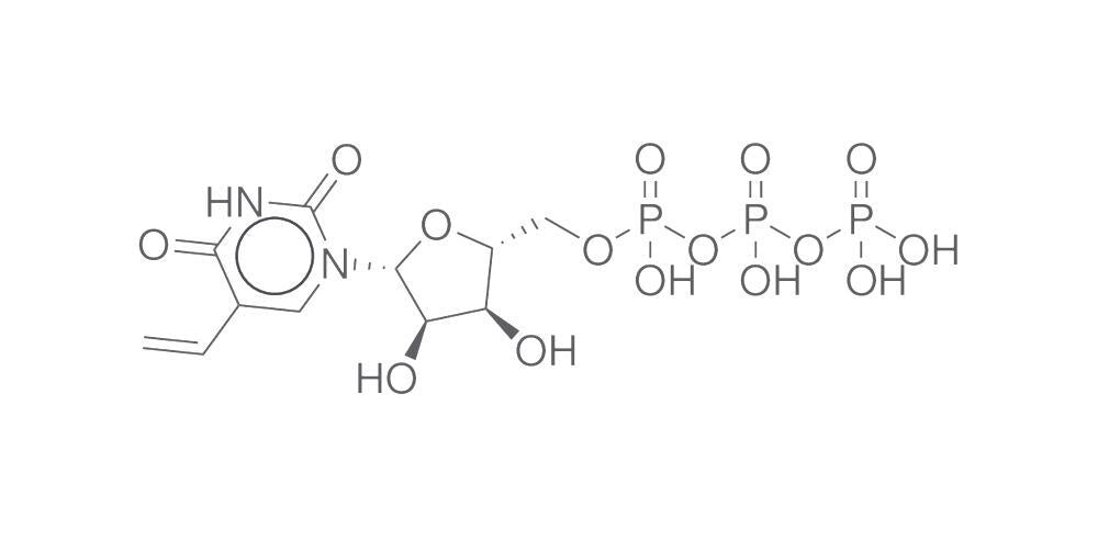 5-DBCO-PEG4-dCTP