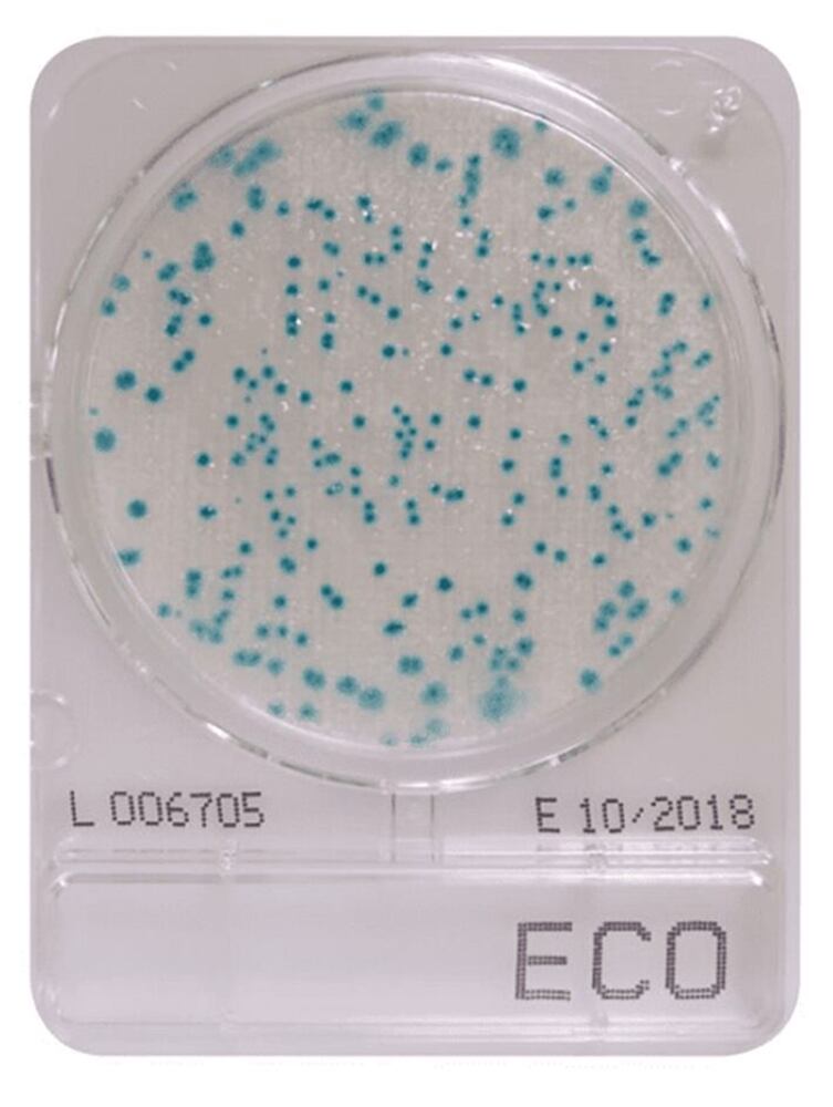 Compact Dry ECO