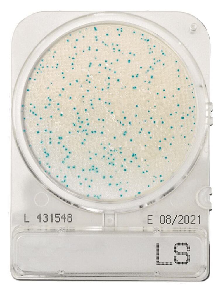 Compact Dry LS
