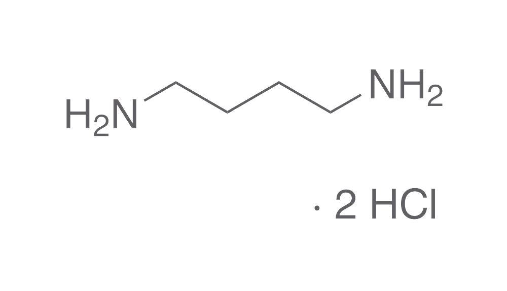 Putrescin dihydrochloride, min. 97 %, for biochemistry, 10 g, glass - Luminix Health