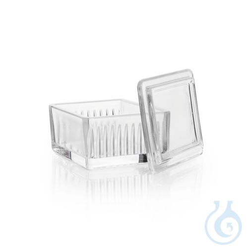 Staining Dish Schiefferdecker Type, from Soda-lime Glass - Luminix Health