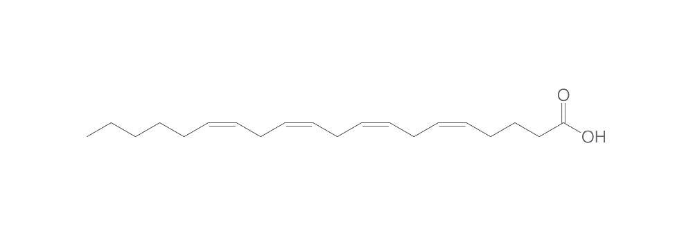 Arachidonic Acid methyl ester, ROTICHROM®, 25 mg, glass - Luminix Health