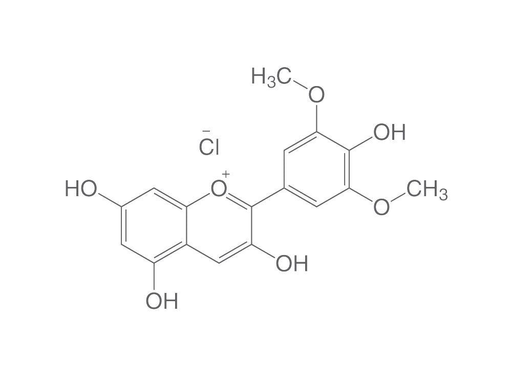 Malvidin chloride, ROTICHROM® HPLC, 10 mg, glass - Luminix Health
