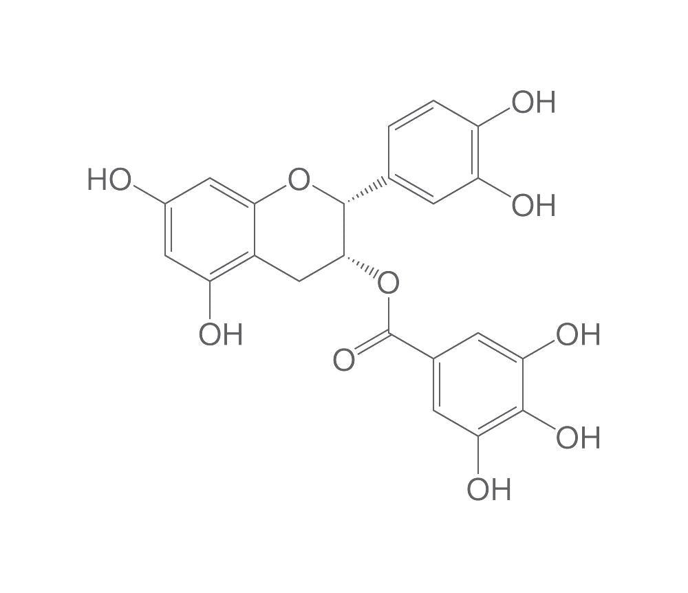 (-)-Epicatechin gallate, ROTICHROM® HPLC, 10 mg, glass - Luminix Health