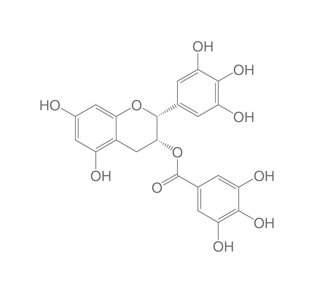 (-)-Epigallocatechin gallate, ROTICHROM® HPLC, 10 mg, glass - Luminix Health