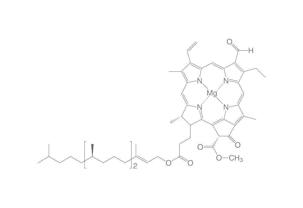 Chlorophyll B, ROTICHROM® CHR, 5 mg, glass - Luminix Health