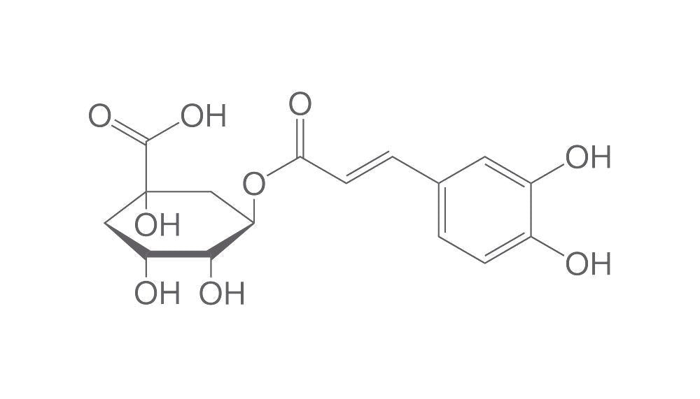 Chlorogenic acid, min. 95 %, 250 mg, glass - Luminix Health