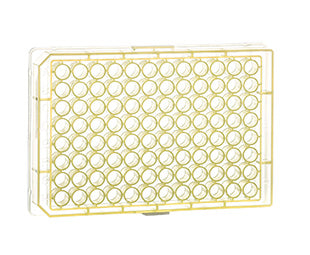 Microplate, 96 well, PP, U-bottom, yellow, 10 units/ bag
