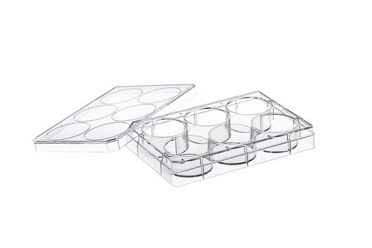 Cell culture multiwell plate, 6 well, PS, transparent, CELLCOAT® Poly-D-Lysine