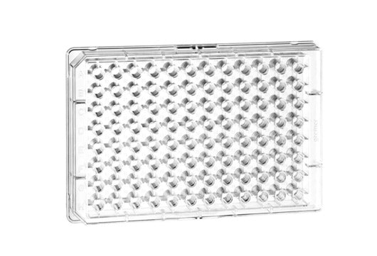 The 96-well half-area microplate in transparent polystyrene (PS)