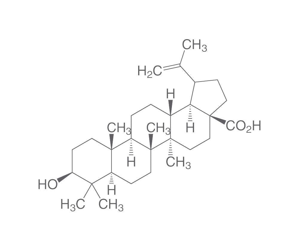 Betulinic acid, ROTICHROM® HPLC, 25 mg, glass - Luminix Health