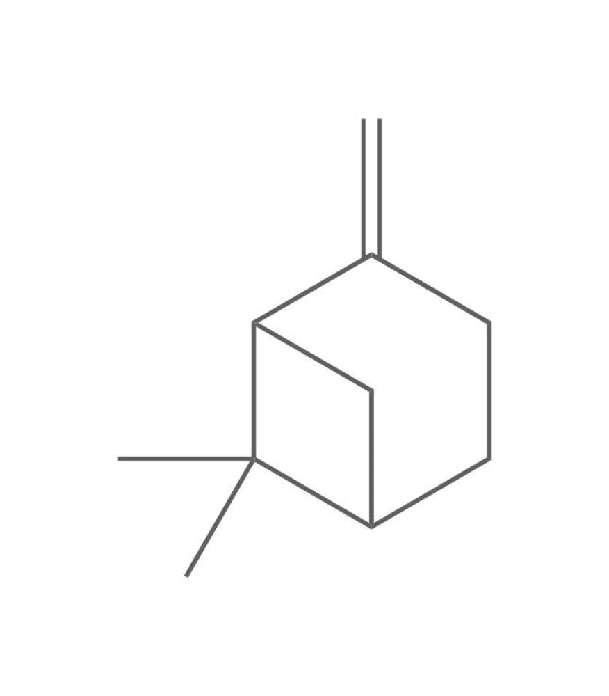 beta-Pinene, ROTICHROM® GC, 1 g, glass - Luminix Health