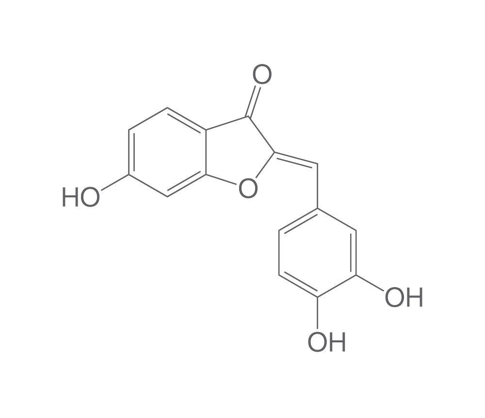 Sulfuretin, ROTICHROM® HPLC, 5 mg, glass - Luminix Health