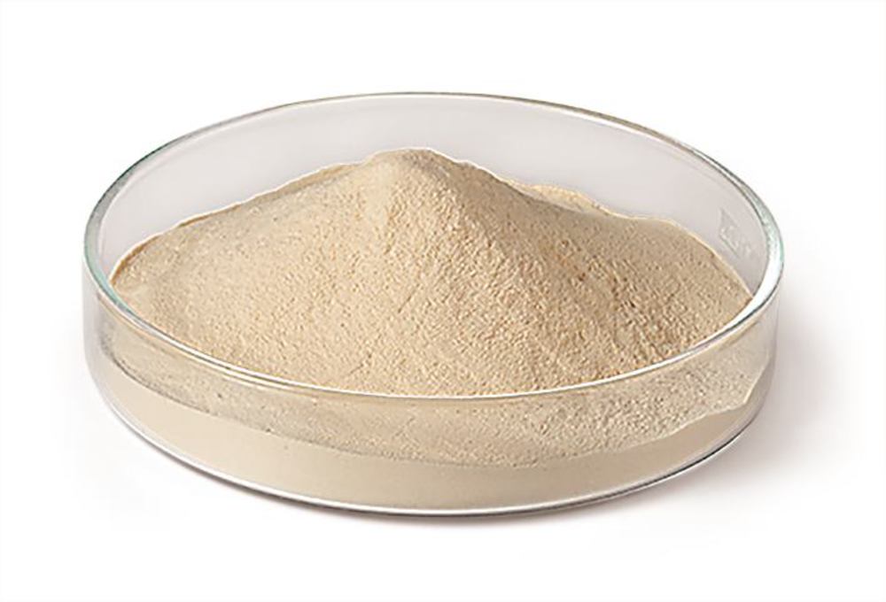 Lactalbumin Hydrolysate, for microbiology and biochemistry, 250 g, plastic - Luminix Health