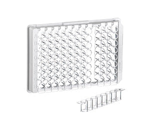 Strip plate, 12xF8, PS, F-bottom, transparent, MICROL