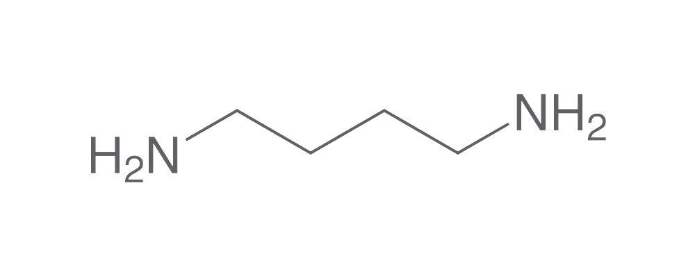 Putrescin, min. 99 %, for biochemistry, 25 g, glass - Luminix Health