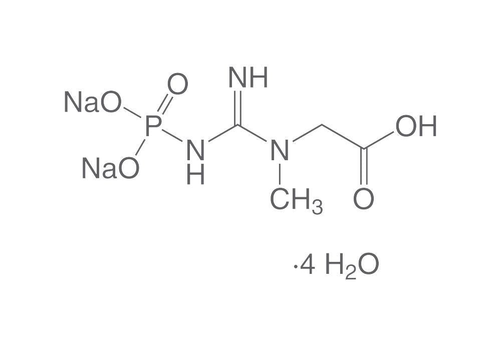 Creatine phosphate disodium salt, tetrahydrate, min. 98%, for biochemistry, 1 g - Luminix Health