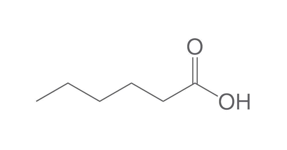 Caproic acid, min. 98 %, for synthesis, 100 ml, glass - Luminix Health