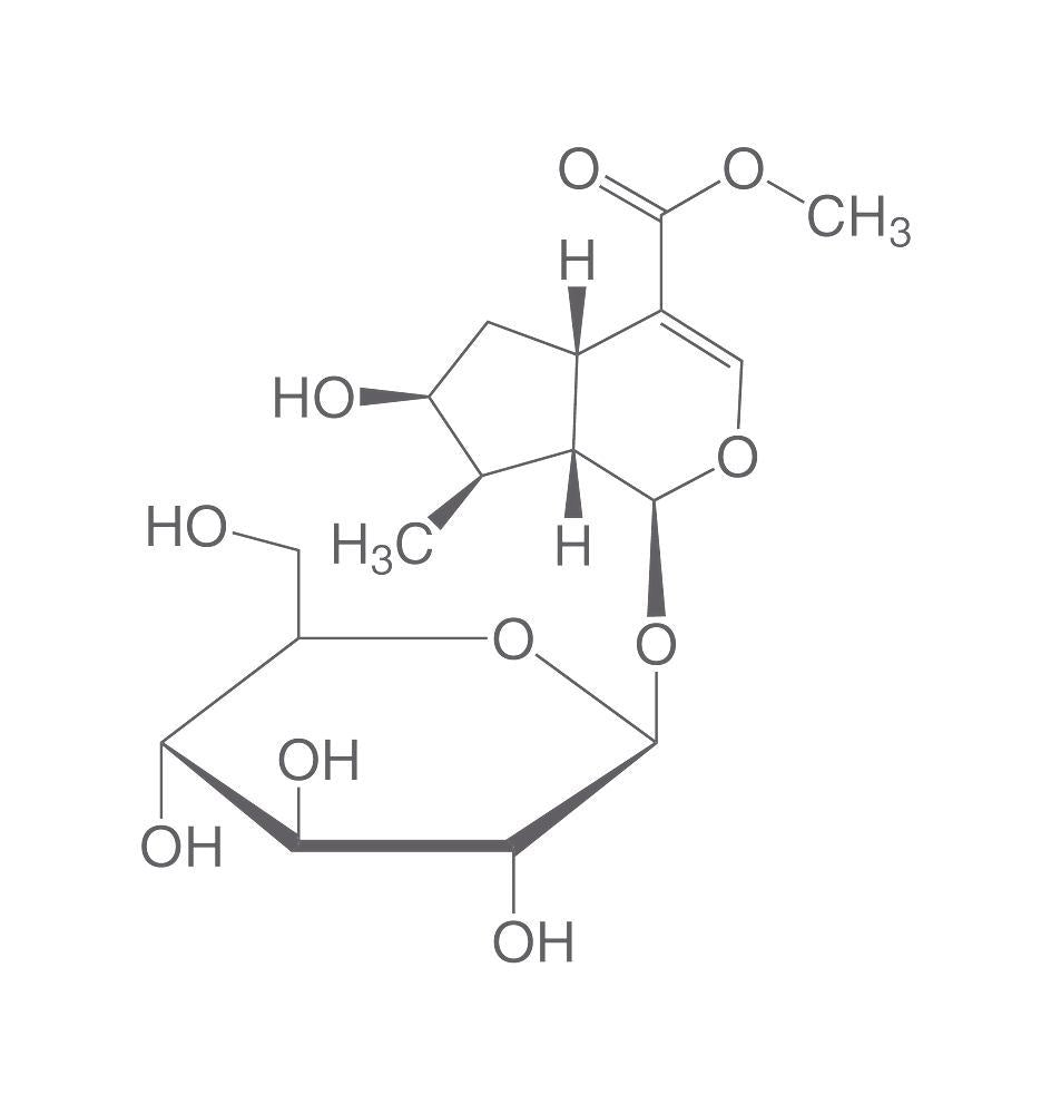 Loganin, ROTICHROM® HPLC, 20 mg, glass - Luminix Health