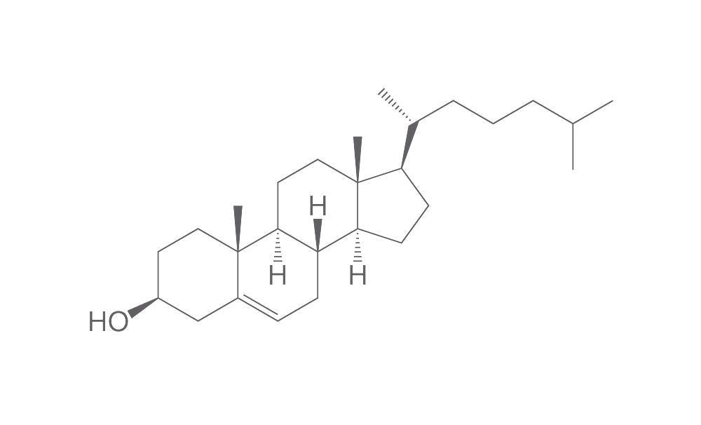 Cholesterol, min. 95 %, Ph.Eur., for biochemistry, 25 g, plastic - Luminix Health