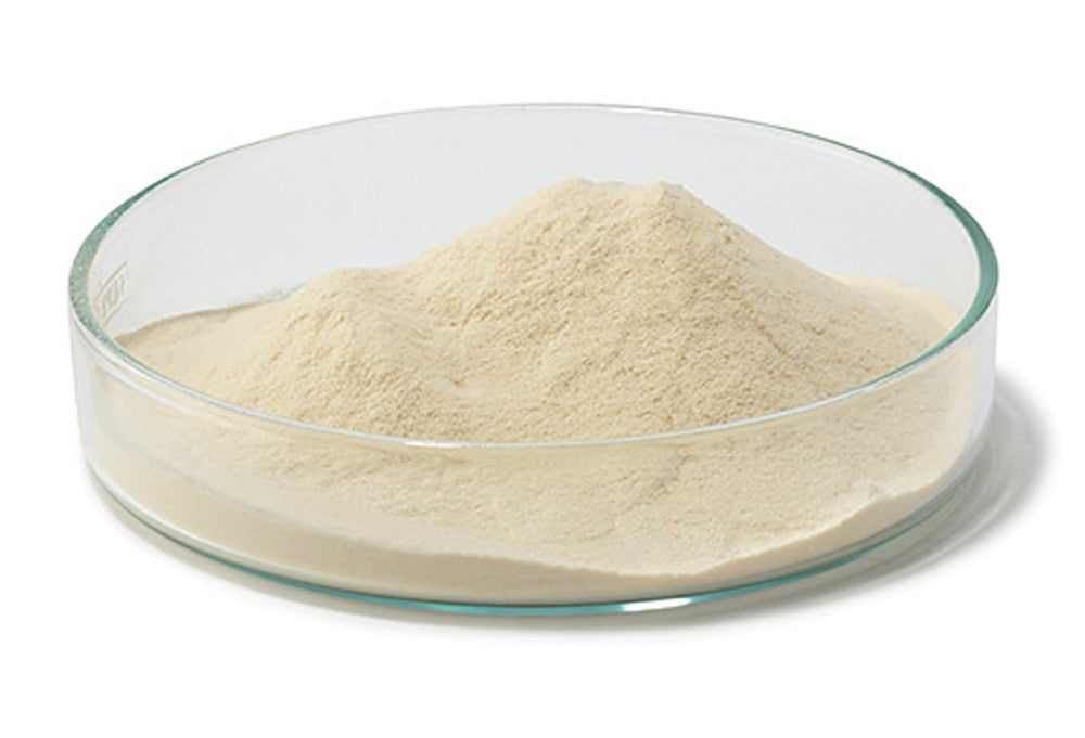 Tryptone/Peptone ex casein, pancreatic digest, for microbiology, 250 g, plastic - Luminix Health