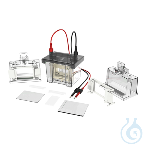 Vertical electrophoresis system, Volt V80