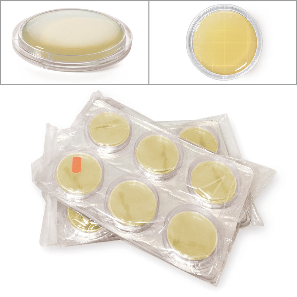 ROTI®ContiPlate Sab4plus, ready-to-use, sterile, for microbiology, 30 unit(s) - Luminix Health